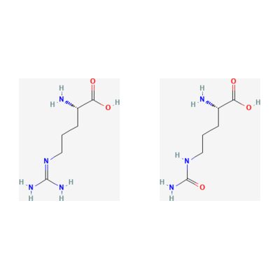 L-arginine and L-citrulline molecular structures